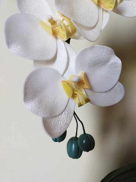 Lapų Formelė -Moldas - Orchidėjos C-48